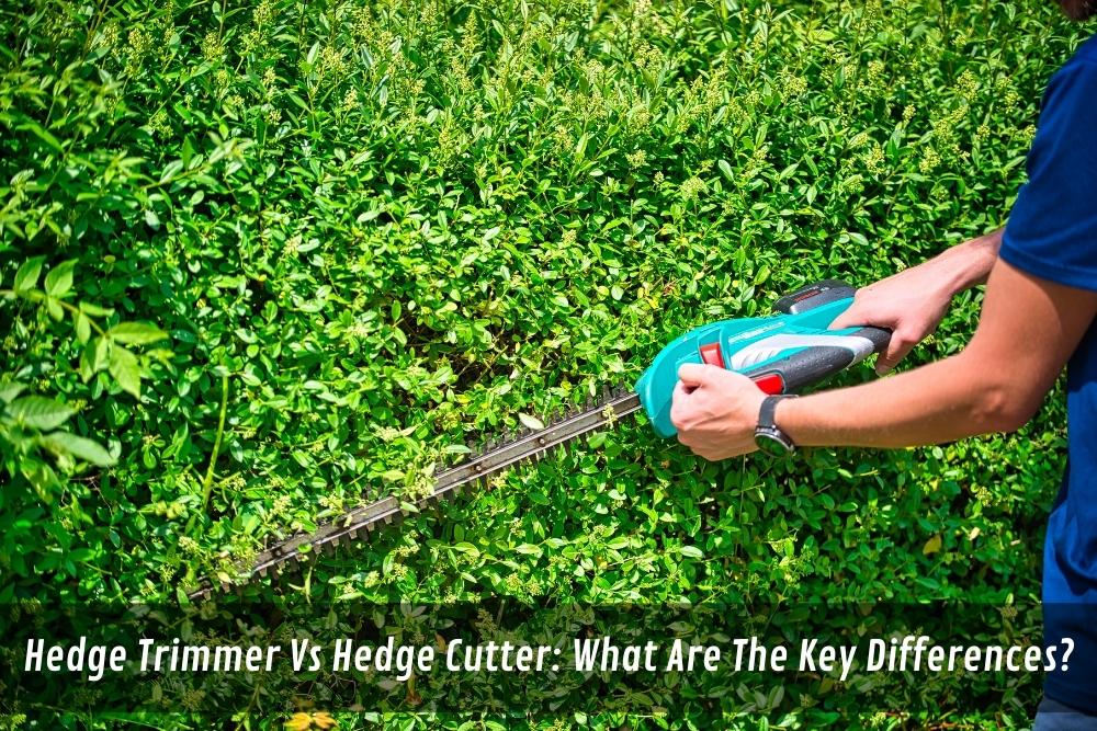 Image presents Hedge Trimmer Vs Hedge Cutter What Are The Key Differences