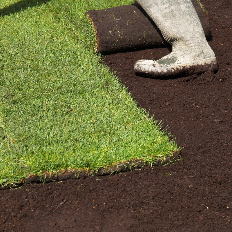 Image presents Turf Laying Services