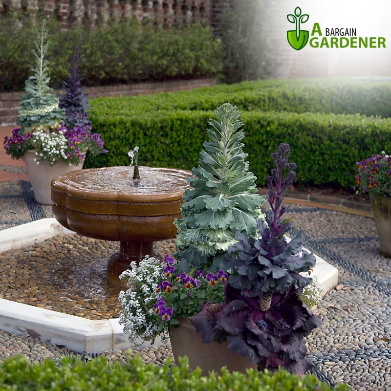 Image presents Expert Garden Water Fountains Service - Enhance Your Outdoor Oasis Today