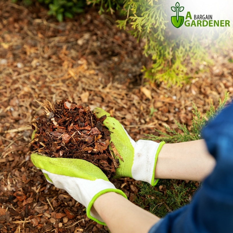 Image presents Hire Our Expert Mulching Services for a Stress-Free Yard Transformation!