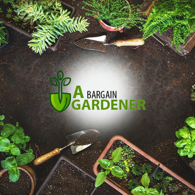 image presents Gardener Catherine Field