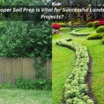 Image presents Why Proper Soil Prep Is Vital for Successful Landscaping Projects