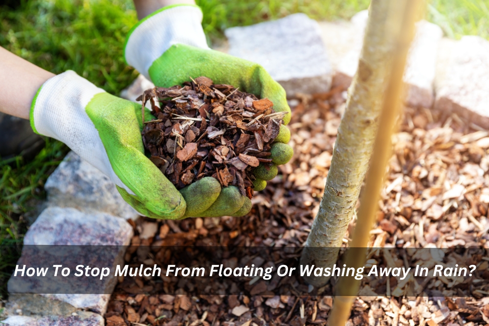 Image presents How To Stop Mulch From Floating Or Washing Away In Rain