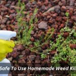 Image presents Is It Safe To Use Homemade Weed Killers