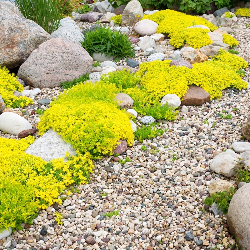Image presents River Stones For Landscaping (2)