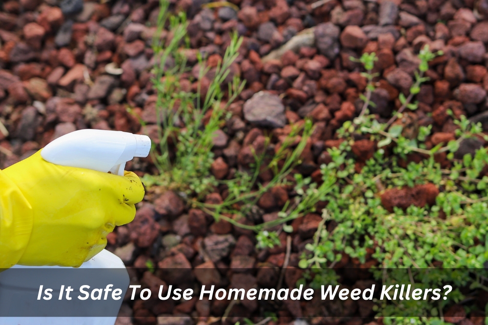 Image presents Is It Safe To Use Homemade Weed Killers