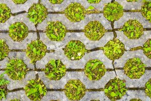 Square-shaped permeable pavers in a staggered pattern create a stylish patio with visible gaps for rainwater drainage. Vibrant green grass grows between the stones, showcasing the eco-friendly benefits of permeable paving.