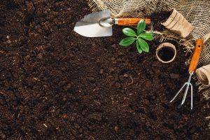 A pile of loose soil with a variety of gardening tools scattered on top. The tools include a shovel, a trowel, and a hand cultivator. The focus of the image is on the weeding tools with some leafy plant material visible in the background.