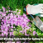 A close-up photo of a gardening glove and a shovel lying on top of a bed of purple flowers. The text overlay reads "What Weeding Tools Is Best For Sydney Soil?"