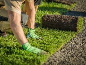 A close-up of a landscaper laying diverse types of turf, creating a beautiful outdoor space.