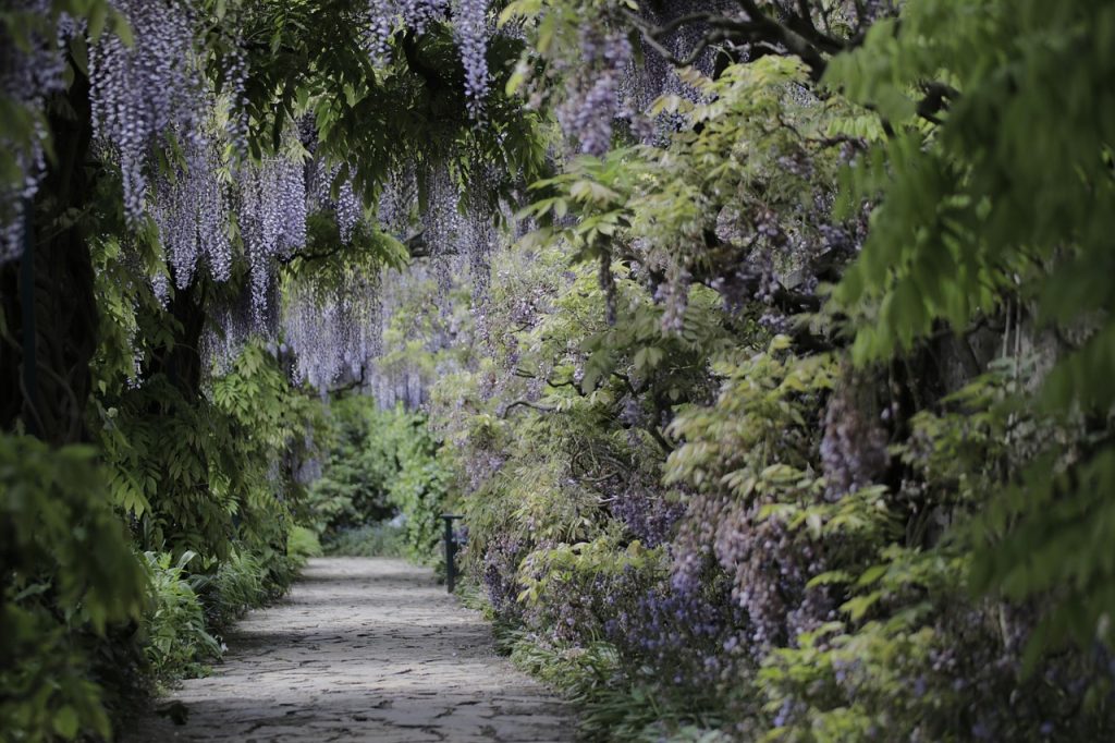 image presents Gardener Concord