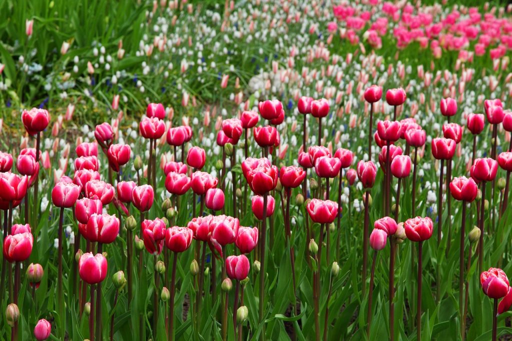 image presents Gardener Harrington Park