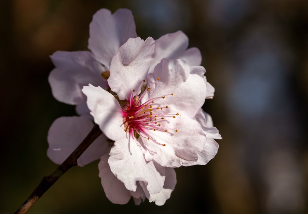 image presents Gardener Wetherill Park