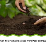 Two hands are shown working with dark brown soil against a blurred background of green foliage. One hand is open, creating a small mound of soil, while the other hand above it is releasing more soil onto the mound. The text at the bottom reads, "How Can You Fix Lawn Issues from Poor Soil Quality?". This image illustrates the concept of addressing poor soil quality in a lawn.