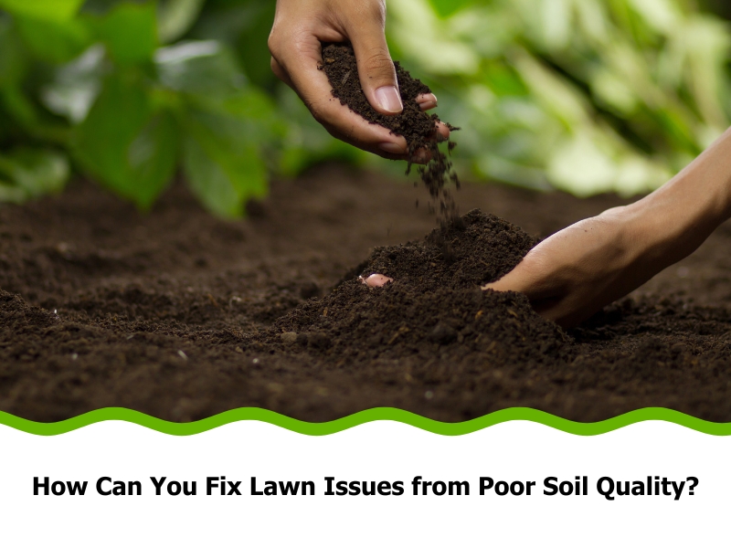 Two hands are shown working with dark brown soil against a blurred background of green foliage. One hand is open, creating a small mound of soil, while the other hand above it is releasing more soil onto the mound. The text at the bottom reads, "How Can You Fix Lawn Issues from Poor Soil Quality?". This image illustrates the concept of addressing poor soil quality in a lawn.