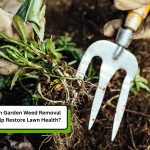 Gloved hands removing garden weeds using a hand fork tool, illustrating garden weeds removal for improved lawn health.