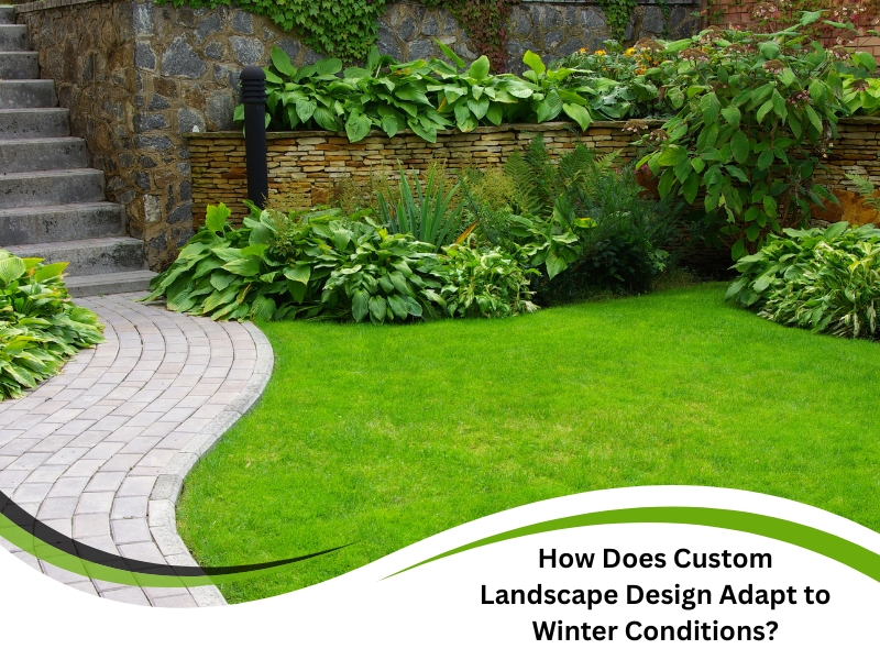 Lush greenery, stone wall, and curved walkway illustrate year-round beauty through custom landscape design