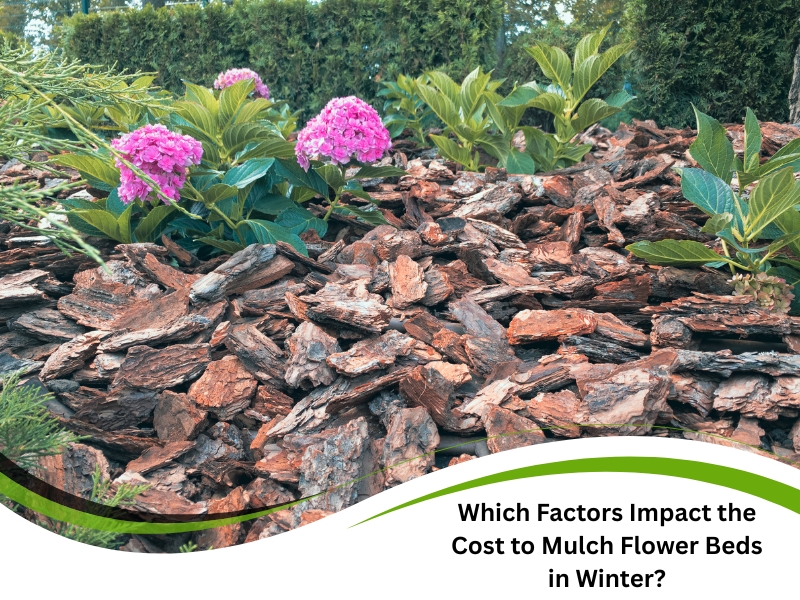 Flower garden with pink hydrangeas surrounded by bark mulch showing the cost to mulch flower beds in winter