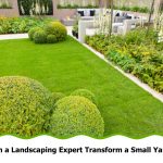 Modern small backyard with sculpted hedges, lush lawn, and flower beds by a landscaping expert.