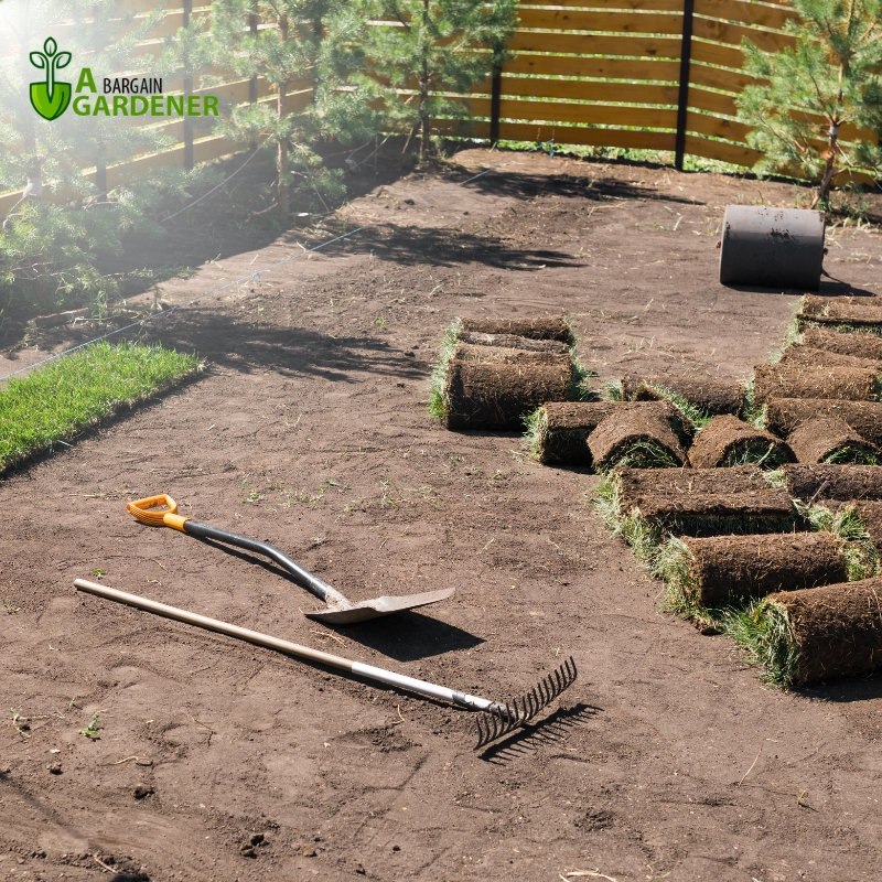 Turf laying services setup with soil prepared, tools ready, and rolls of fresh sod arranged for installation.