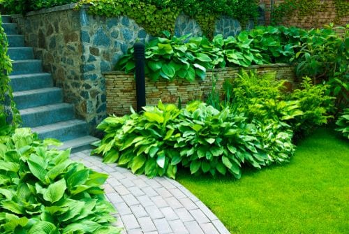 Image describes Gardener Balmain