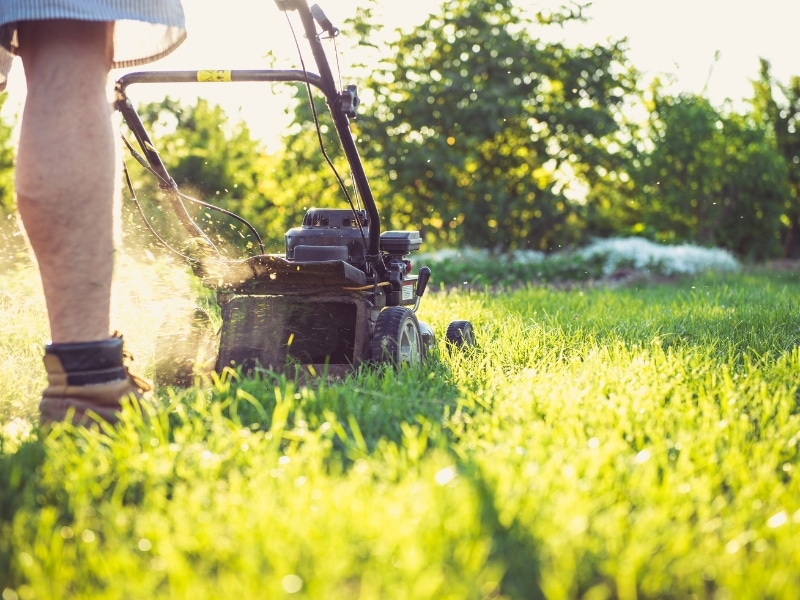 Lawn mowing supports lawn weeding by reducing weed spread.