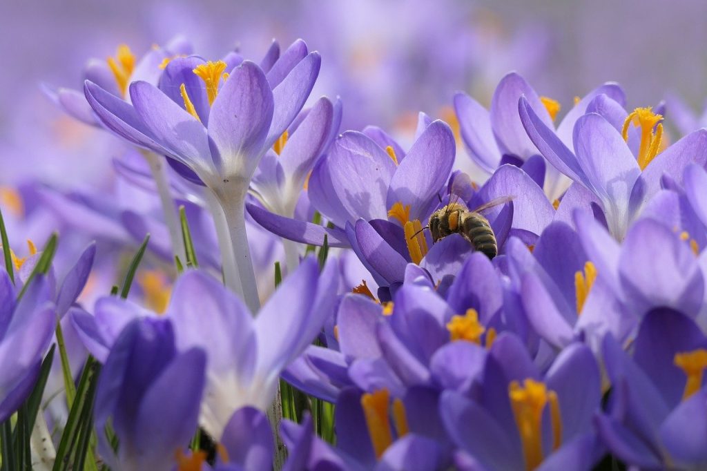 image presents Gardener Busby