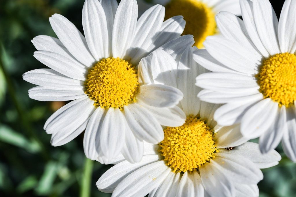 image presents Gardener Elderslie