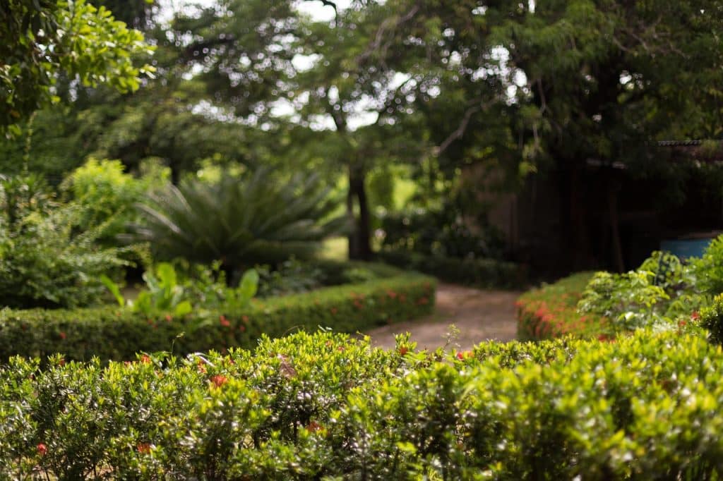 image presents Gardener Lansvale