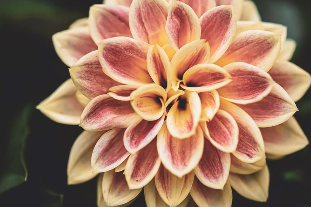 image presents Gardener Liverpool