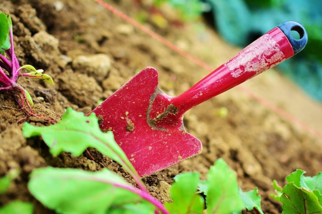 image presents Gardener Mays Hill