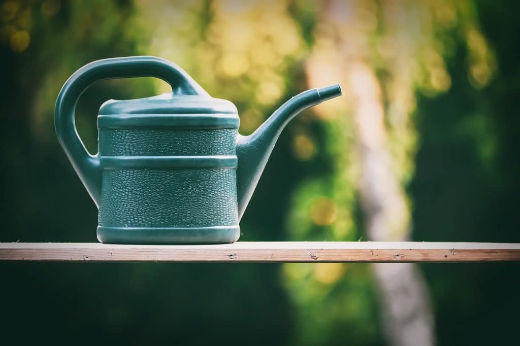 image presents Gardener Shalvey
