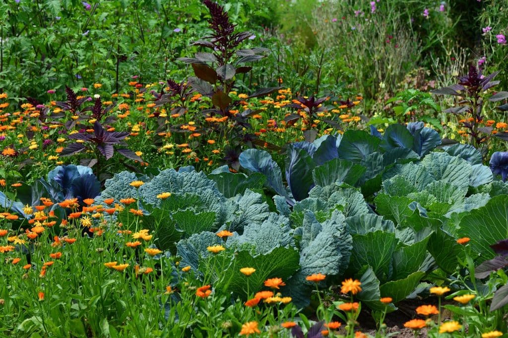 image presents Gardener The Rocks
