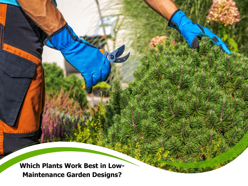 Gardener pruning evergreen shrubs with shears in a vibrant outdoor landscape for Low Maintenance Garden Designs.