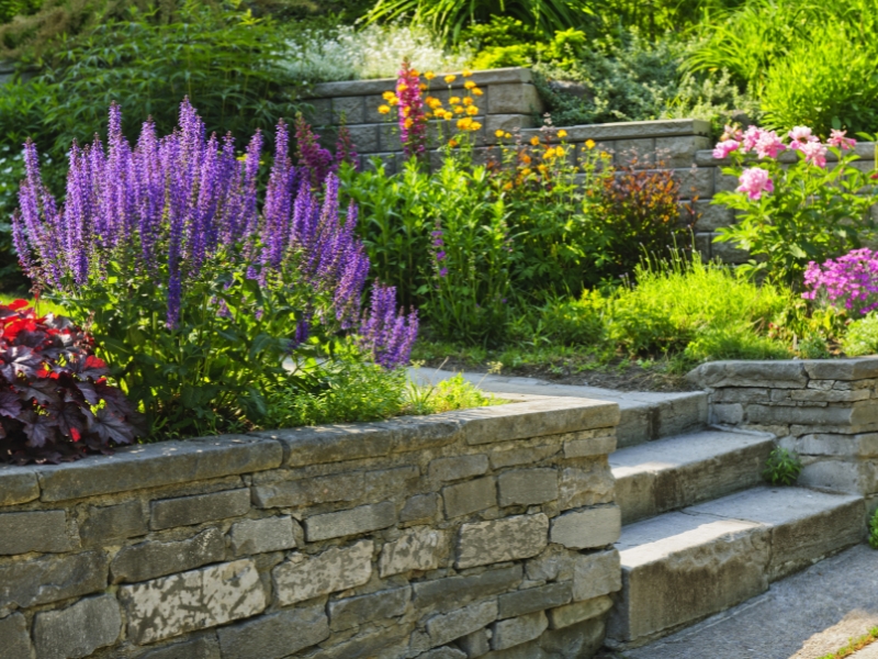Outdoor landscaping with stone walls, purple flowers, and colorful garden plants