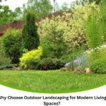 Outdoor landscaping with green lawn, shrubs, and flowering plants