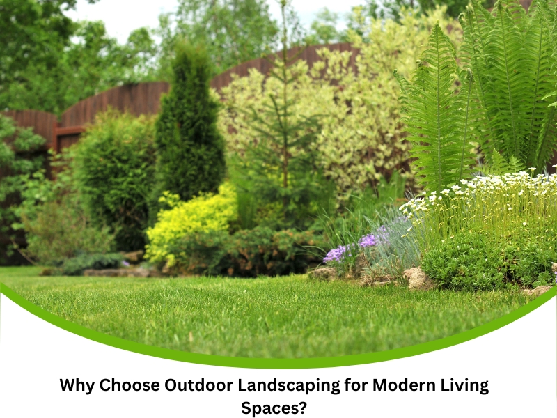 Outdoor landscaping with green lawn, shrubs, and flowering plants
