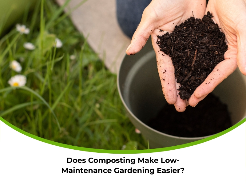Person holding rich compost soil for Low Maintenance Gardening