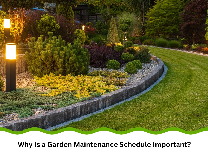 Well-kept landscape illustrating a consistent garden maintenance schedule.