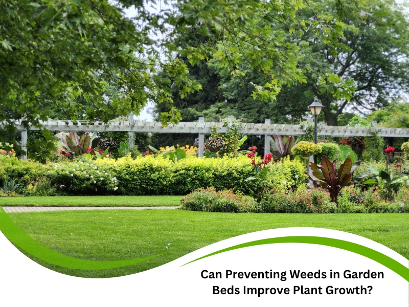 Lush landscape showing results of preventing weeds in garden beds for healthier plant growth.