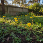 Common Sydney weeds growing in a residential garden.