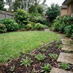 Common Sydney garden weeds emerging in a lawn edge, mulched garden bed, and between pavers after rain.