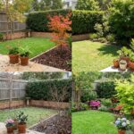 Sydney seasonal yard care calendar showing a small backyard with lawn, mulched beds, hedges and courtyard pots across the year.