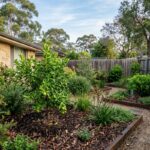 Fresh organic mulch protecting garden beds during a mild Sydney winter in a well-maintained suburban garden.