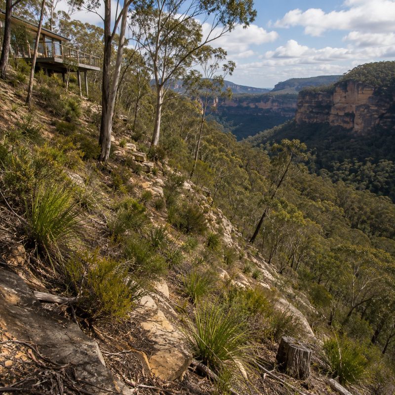 Steep sandstone escarpment bush block in the Blue Mountains